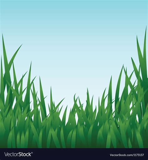 Green grass Royalty Free Vector Image - VectorStock