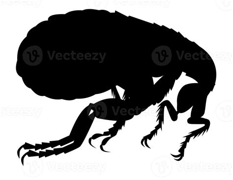 flea silhouette retro isolated 18127796 PNG