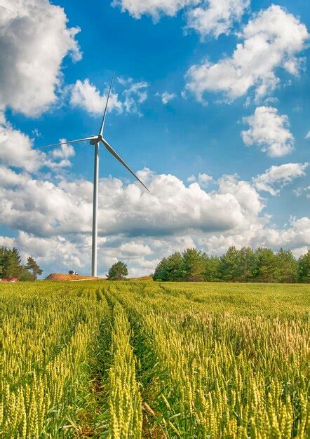 Premium Photo | Windmills in field