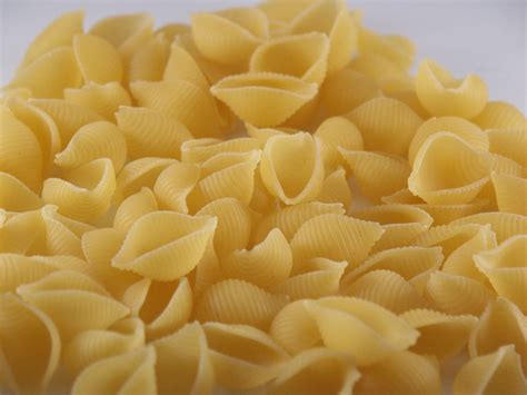 Conchiglie Pasta - poststkyx.over-blog.com