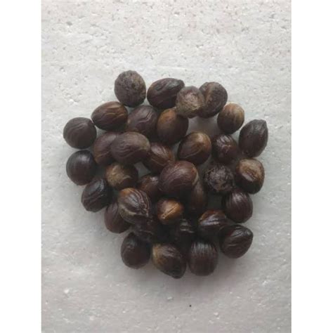 Jual BIJI PALA/ BIJI BUAH PALA/ NUTMEG/ BIJI PALA UTUH GRADE A 100 GRAM | Shopee Indonesia