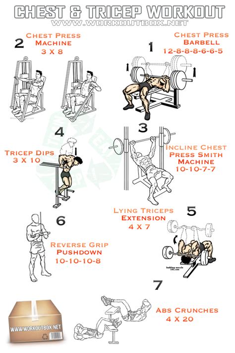 Chest And Tricep Circuit