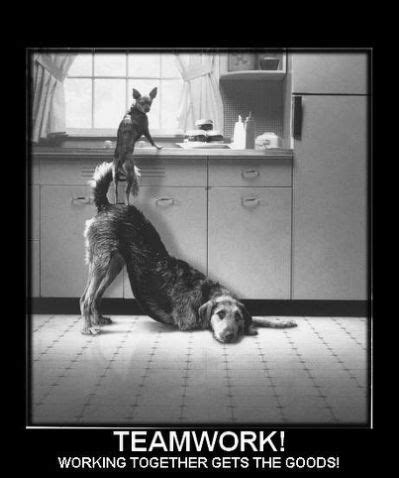 Workplace Teamwork Quotes Funny - ShortQuotes.cc