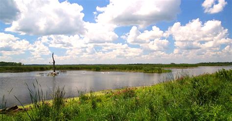 Horicon Marsh Wildlife Area | Travel Wisconsin