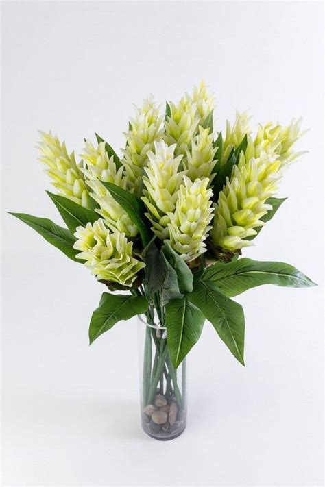 Ginger Flower - White | Ginger flower, White flower arrangements, Flowers