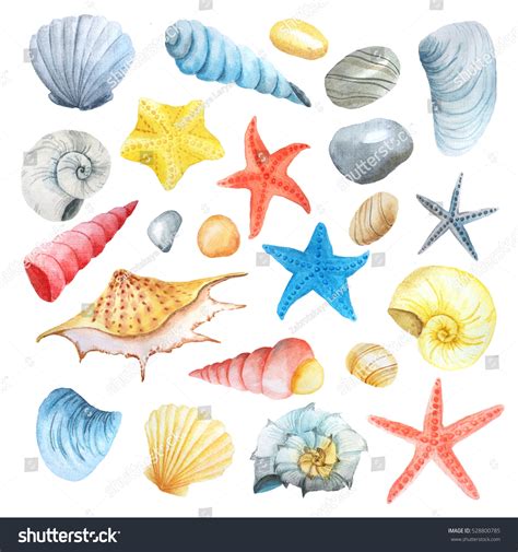 Watercolor Set Sea Life Isolated On Stock Illustration 528800785 ...