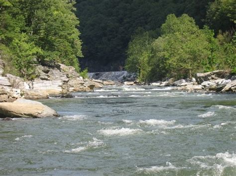 Nolichucky River - Erwin - Reviews of Nolichucky River - TripAdvisor