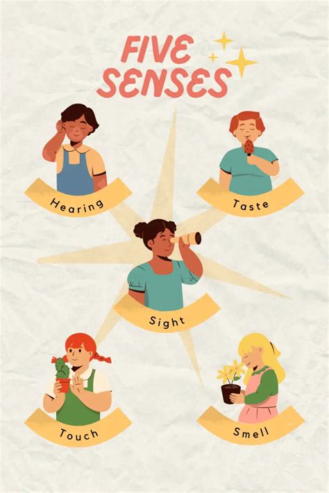 5 Human Senses: Learn The Importance And Functions - Simply Life Tips