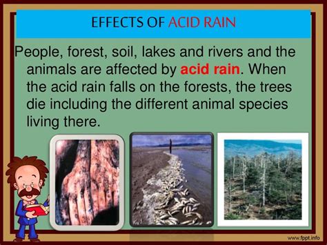 Causes of Acid Rain and Its Effects