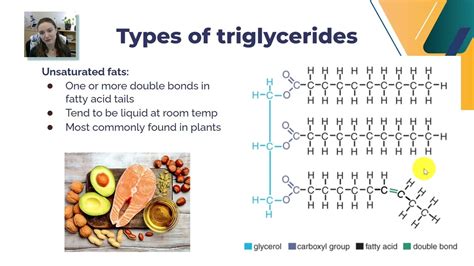 Lipids Part 1: Triglyceride Structure & Function - YouTube