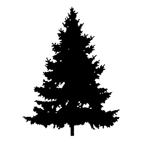 pine tree clip art silhouette 10 free Cliparts | Download images on Clipground 2024