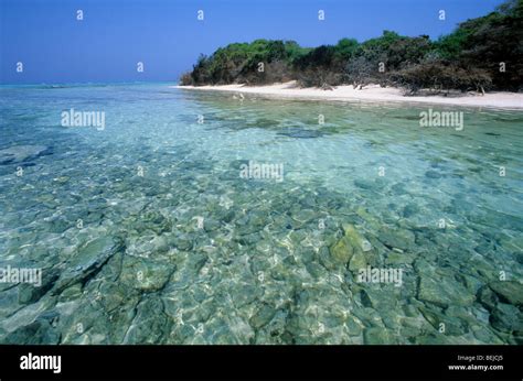 Beach, Farasan Island, Red Sea, Saudi Arabia, Middle East Stock Photo - Alamy