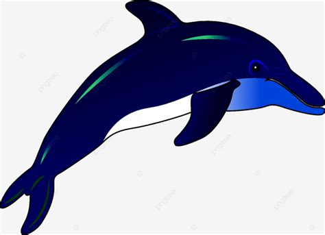 Dolphin Jumping Vector Hd Images, Dolphin Jump Isolated Mammal White, Jump, Illustration, Figure ...