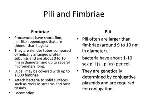 PPT - Prokaryotic Cell Structure and Function PowerPoint Presentation, free download - ID:1927349