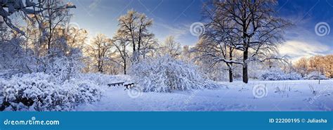 Winter Panorama Of A Park Royalty Free Stock Photo - Image: 22200195