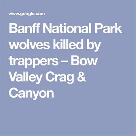 Banff National Park wolves killed by trappers | Banff national park ...