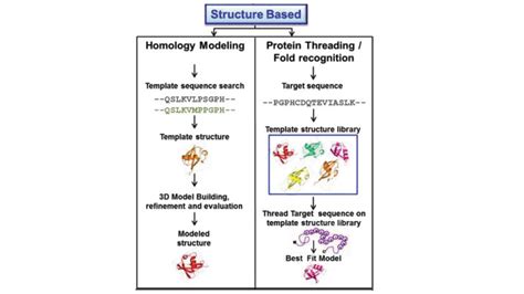 Structure Based Protein Design for Protein Engineeringg - Creative BioMart