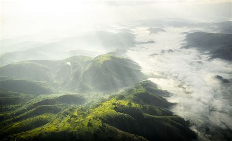 Bwindi Impenetrable Forest National Park - The Africa Adventure Company