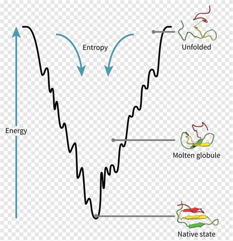 Protein folding Folding funnel Energy landscape, energy, angle, text ...