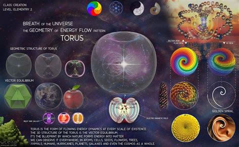 torus… | Sacred geometry, Geometry, Sacred geometry art