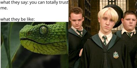 Harry Potter: 10 Memes That Perfectly Sum Up Slytherins