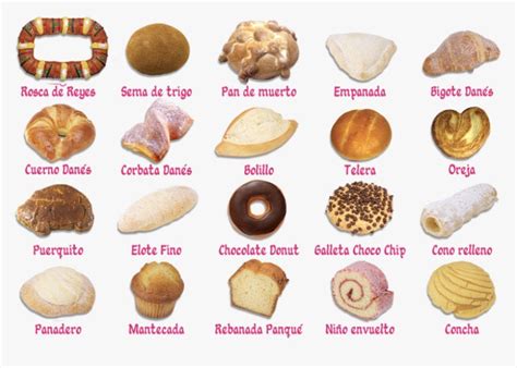 Basic types of pan dulce (Mexican sweet bread) : r/coolguides