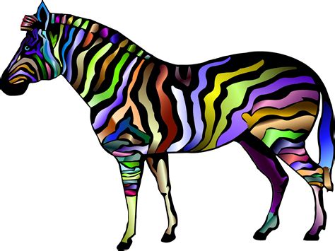 Zebra Print Clipart at GetDrawings | Free download