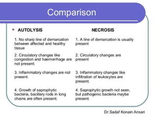 Autolysis pathology ppt | PPT