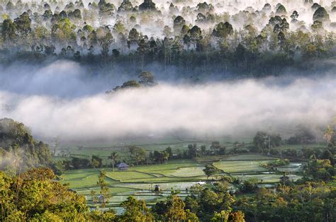 Bukit Barisan Selatan National Park: Home of the Sumatran Tigers