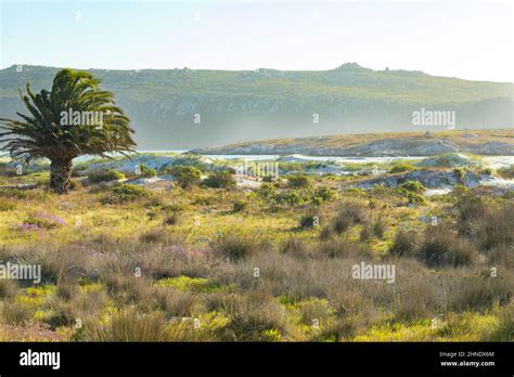 West Coast National Park, Western Cape, South Africa Stock Photo - Alamy