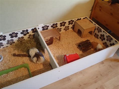 Pin on DIY Cages for Pet Rodents