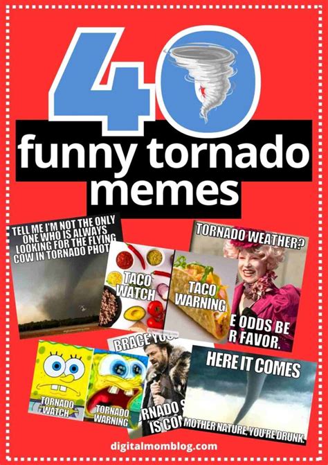 40 Tornado Memes And Images About Twisters And Crazy Weather