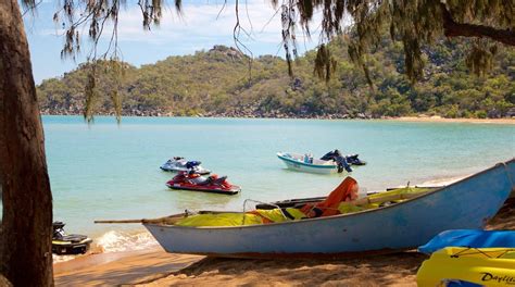 Horseshoe Bay Beach in Queensland - Tours and Activities | Expedia.ca