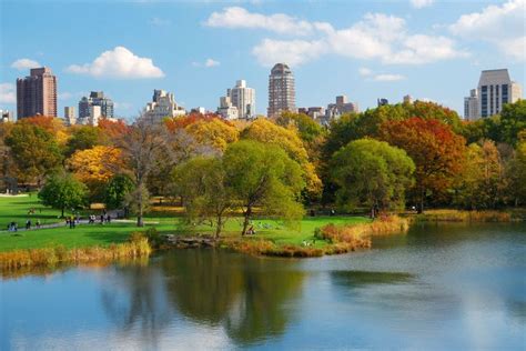 Central Park Bike Tour, New York