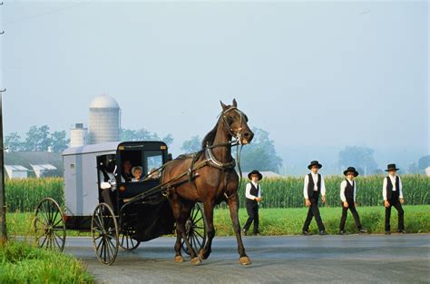 Amish Beliefs and Worship Practices