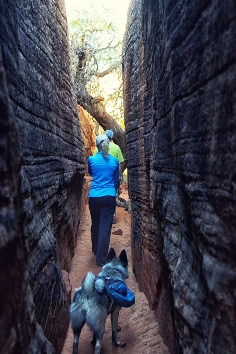 Slot Canyon Snow Canyon Petroglyphs | Slot canyon, Petroglyphs, Canyon