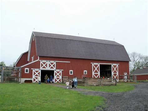 Farm Days For City Kids at Maybury Farm | Northville, MI Patch