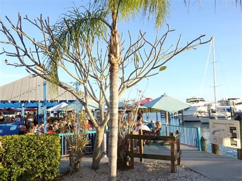 TIKI BAR on the Isle of Capri - Review of Island Gypsy Cafe & Marina Bar, Naples, FL - Tripadvisor