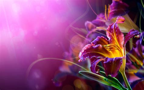 abstract flowers | Flower desktop wallpaper, Abstract flowers, Flower backgrounds