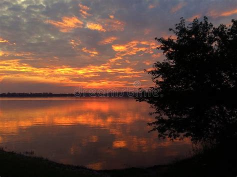 BEAUTIFUL Sunset at Sukhna Lake, with a Tree in Foreground Chandigarh, India. Stock Photo ...