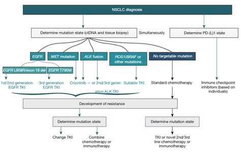 Treatment strategies of NSCLC patients. Current refined treatment... | Download Scientific Diagram