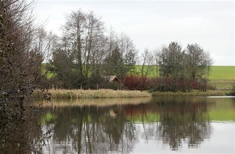 Cefn Mably Lakes | South Wales premier coarse fishery | Necia Rogers | Flickr