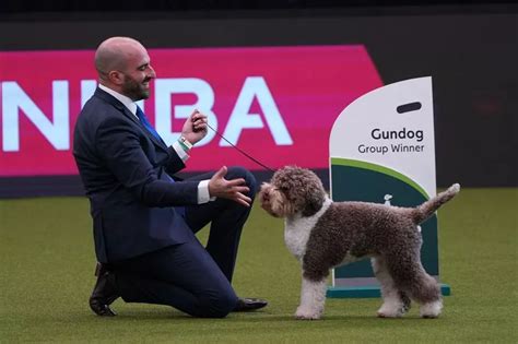 Crufts 2023 Day 4 results announced for Best in Show, Utility and Toy ...