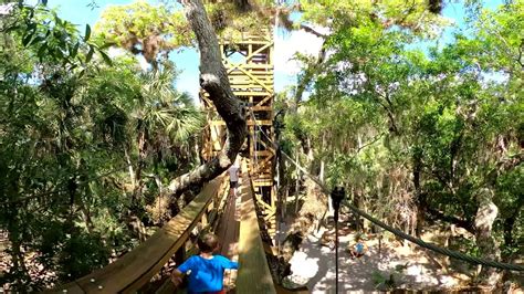 Myakka River State Park Canopy Walkway in VR - YouTube