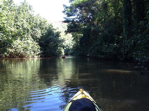 Tour Wailua River Kayak Rentals Kauai | River kayaking, Kayaking, Kayak rentals