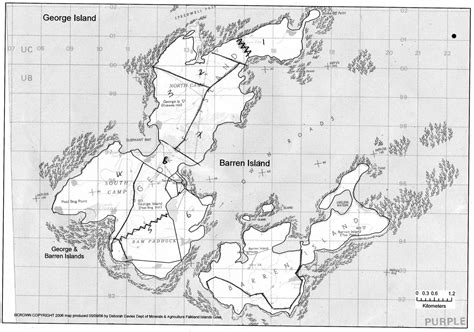 Island farming in the Falkland Islands: cooking and waiting