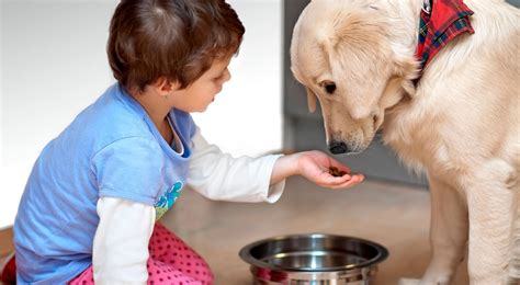 Yo Me Cuido | ¿Por qué es bueno que los niños tengan mascotas?