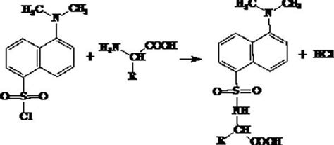 Dansyl chloride - Alchetron, The Free Social Encyclopedia