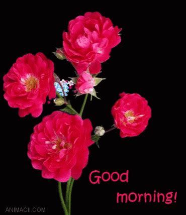 Good Morning Flowers GIF - Good Morning Flowers - Discover & Share GIFs