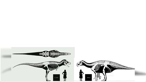 Albertosaurus And Iguanodon Size Comparison - YouTube